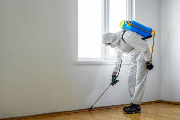 Best Affordable Pest Control Services  in Andale, KS