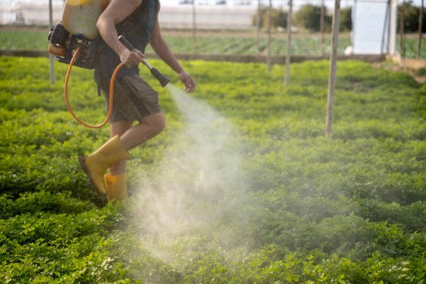 Best Ant Control Services  in Andale, KS