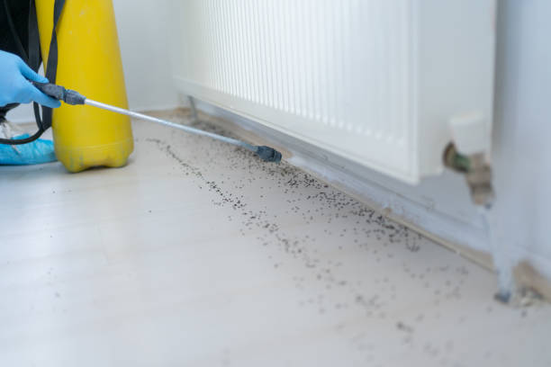 Best Pest Removal Services  in Andale, KS