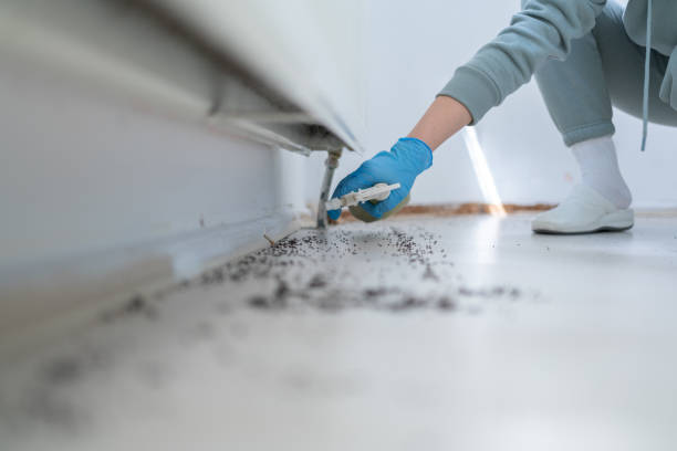 Best Pest Removal Services  in Andale, KS